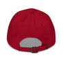 Democrybaby - Dad hat