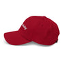 Democrybaby - Dad hat