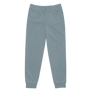 Nicky Rottens - Unisex pigment dyed sweatpants