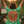 Papayas Fucho y Nada Mas - Mexico - Recycled unisex sports jersey