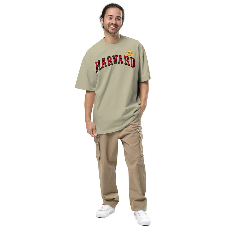 HARVARD - LIONEL - Oversized faded t-shirt