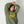 Lenny's casita IDF - Unisex Hoodie