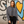 MADRES - san diego - Crop Hoodie