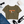 HOOTERS CORONADO - omen’s Crop Tee